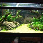 Дизайн аквариума 100 литров