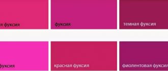 fuchsia colors shades