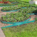 Как установить бордюрную ленту на грядках: красивое обрамление садовых грядок