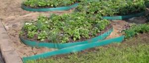 How to install border tape on beds: beautiful framing of garden beds