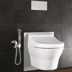 How to choose a comfortable and high-quality hygienic shower for the toilet