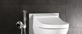 How to choose a comfortable and high-quality hygienic shower for the toilet