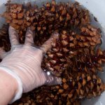 Beautiful crafts made from natural materials with your own hands at home. Master classes step by step 