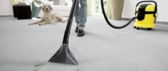 Karcher washing vacuum cleaners: top 5 best models recommendations before purchasing