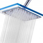 тропический душ виды